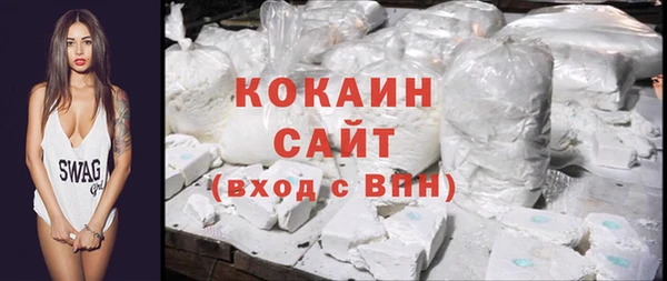 гашик Каменка