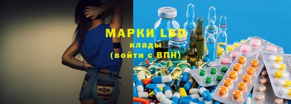гашик Каменка
