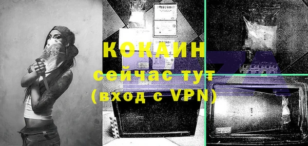 гашик Каменка