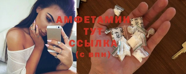 гашик Каменка