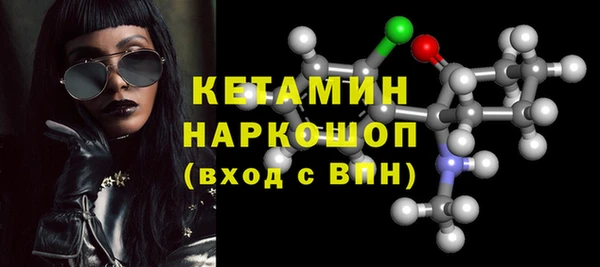 гашик Каменка
