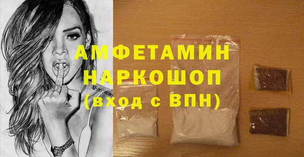 гашик Каменка