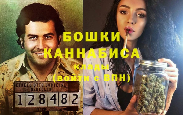 гашик Каменка