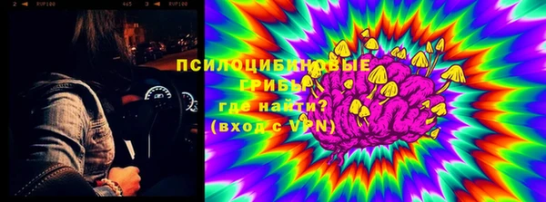 гашик Каменка