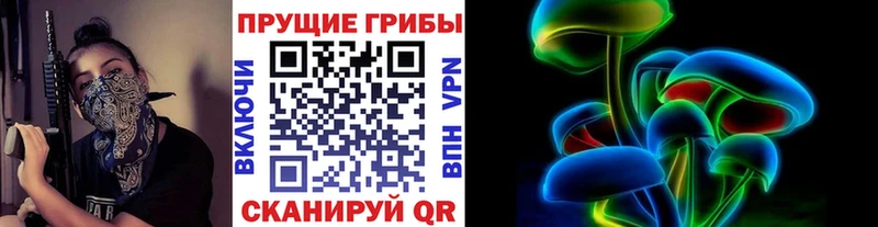 Купить Усмань Псилоцибиновые грибы мицелий